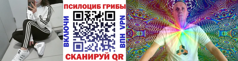 Галлюциногенные грибы Cubensis  Купить где  Богданович 